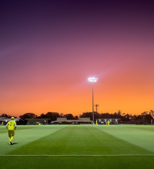 Cricket-365-Sunsetlr.jpg